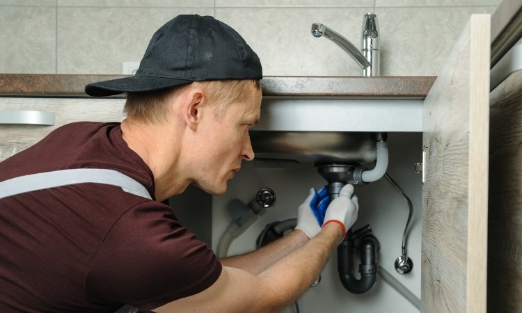 how to clean a sink trap